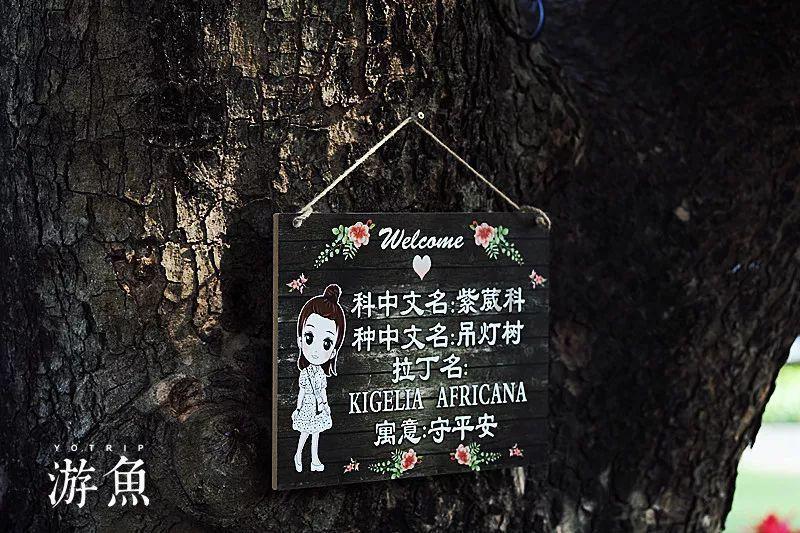 英雄联盟官方助手