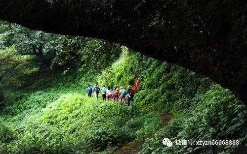 逃离蓝色之林