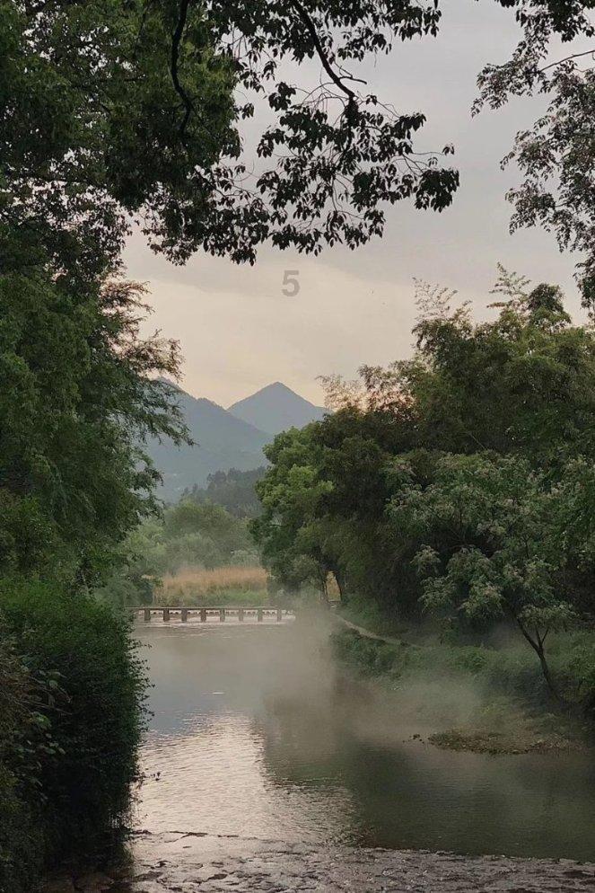 救援海盗章鱼