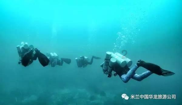 逃离天鹅森林