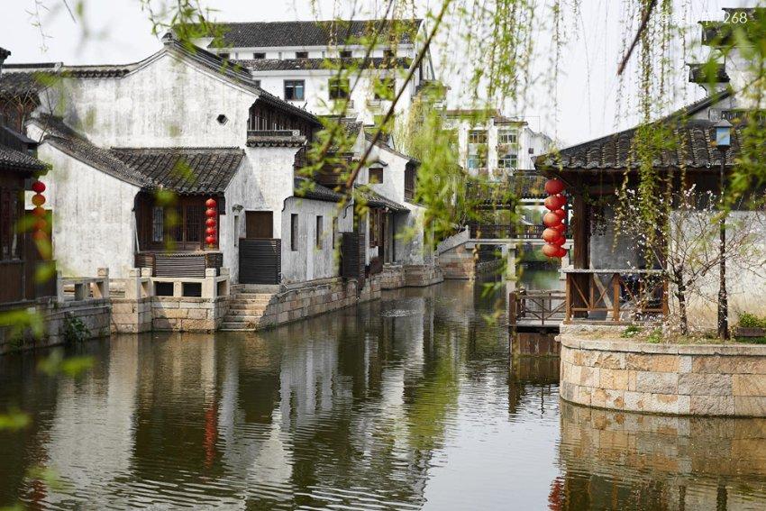 植物大战僵尸4