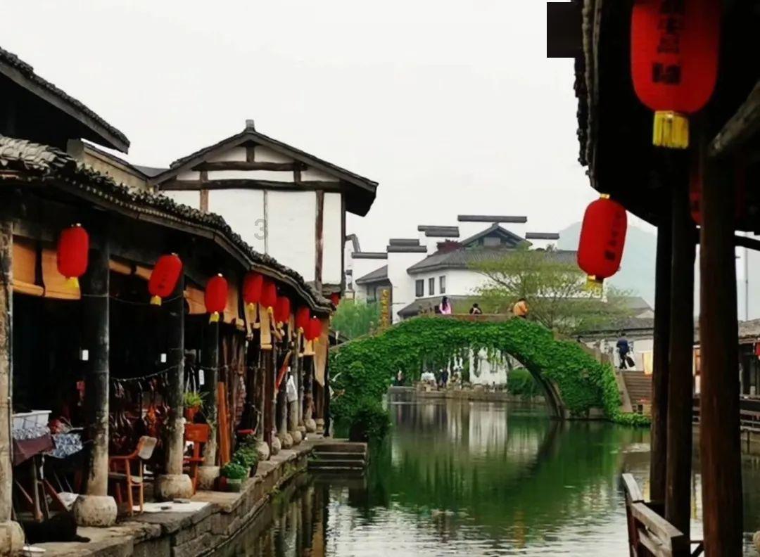 洛星博物纪丨城市篇