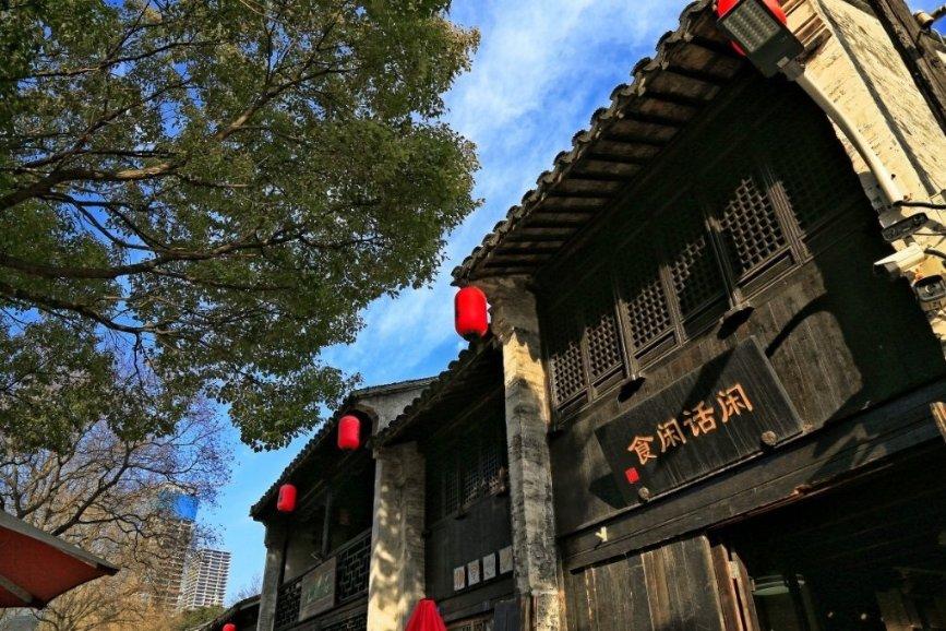 五指毛桃的根可以入药，有健脾补肺、行气利湿、舒筋活络等功效